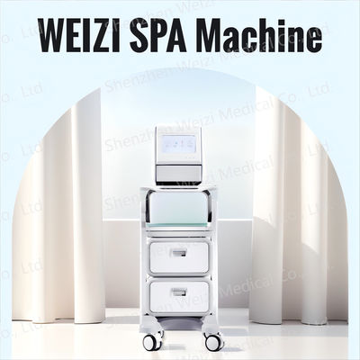 Good price Αλκαλικό νερό υδρογόνο SPA μηχανή με αρνητική τεχνολογία ιόντων ανακούφιση ακμή σε απευθείας σύνδεση