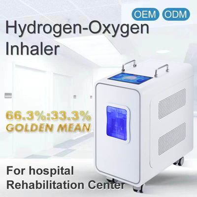 Καλή τιμή 110v 220v Οικιακή συσκευή θεραπείας με εισπνοή υδρογόνου PEM 3000ml σε απευθείας σύνδεση
