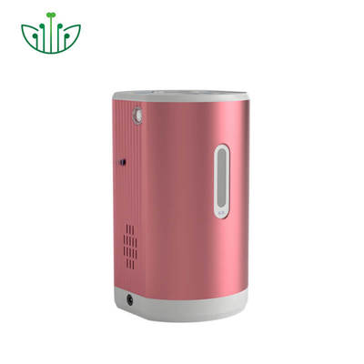 Good price Portable Hydrogen Inhaler with 99.9% Pure Hydrogen 150ml/min Output and 75ml/min Oxygen for Therapy σε απευθείας σύνδεση